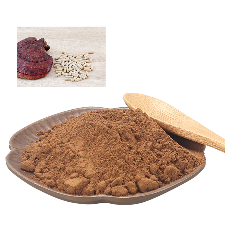 Why Choose USDA Certified Organic Reishi Extract?
